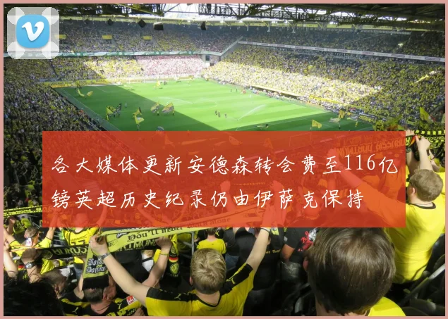 各大媒体更新安德森转会费至116亿镑英超历史纪录仍由伊萨克保持